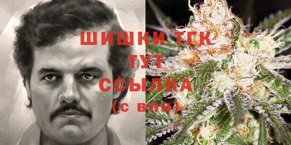 Альфа ПВП Арсеньев
