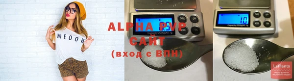 ешки Аркадак