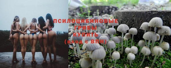 дурь Армянск