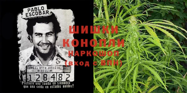 ешки Аркадак