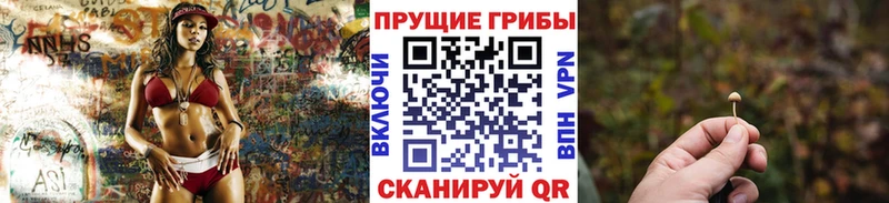 Псилоцибиновые грибы Cubensis  Печоры 